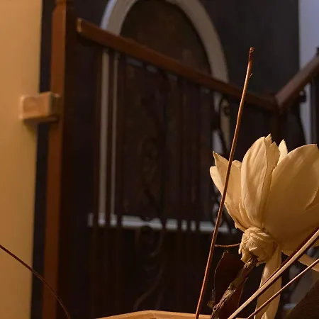 Teos 4* 普里莫尔斯科