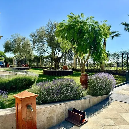 Teos 4* بريمورسكو